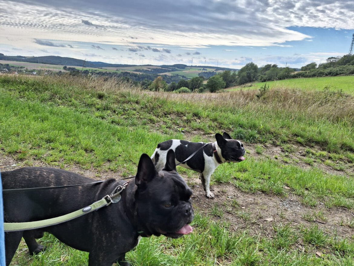 Ga eens wandelen in Weilmünster
