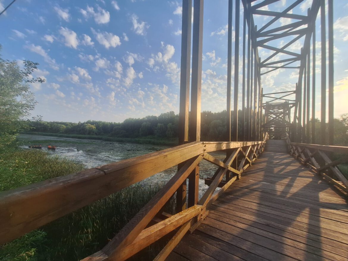 Het meer Kis-Balaton in Hongarije