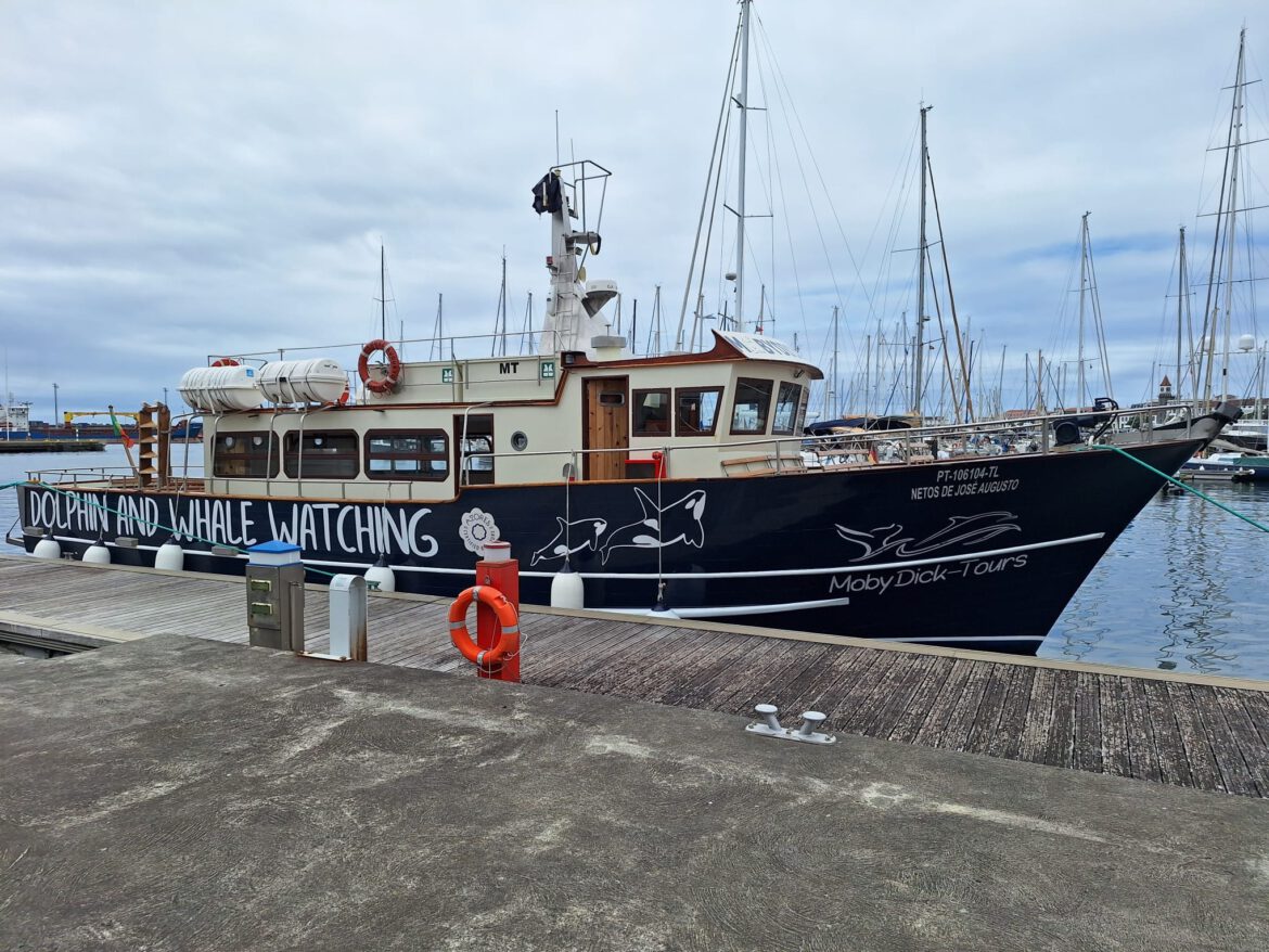 Walvissentocht met MobyDick – Tours