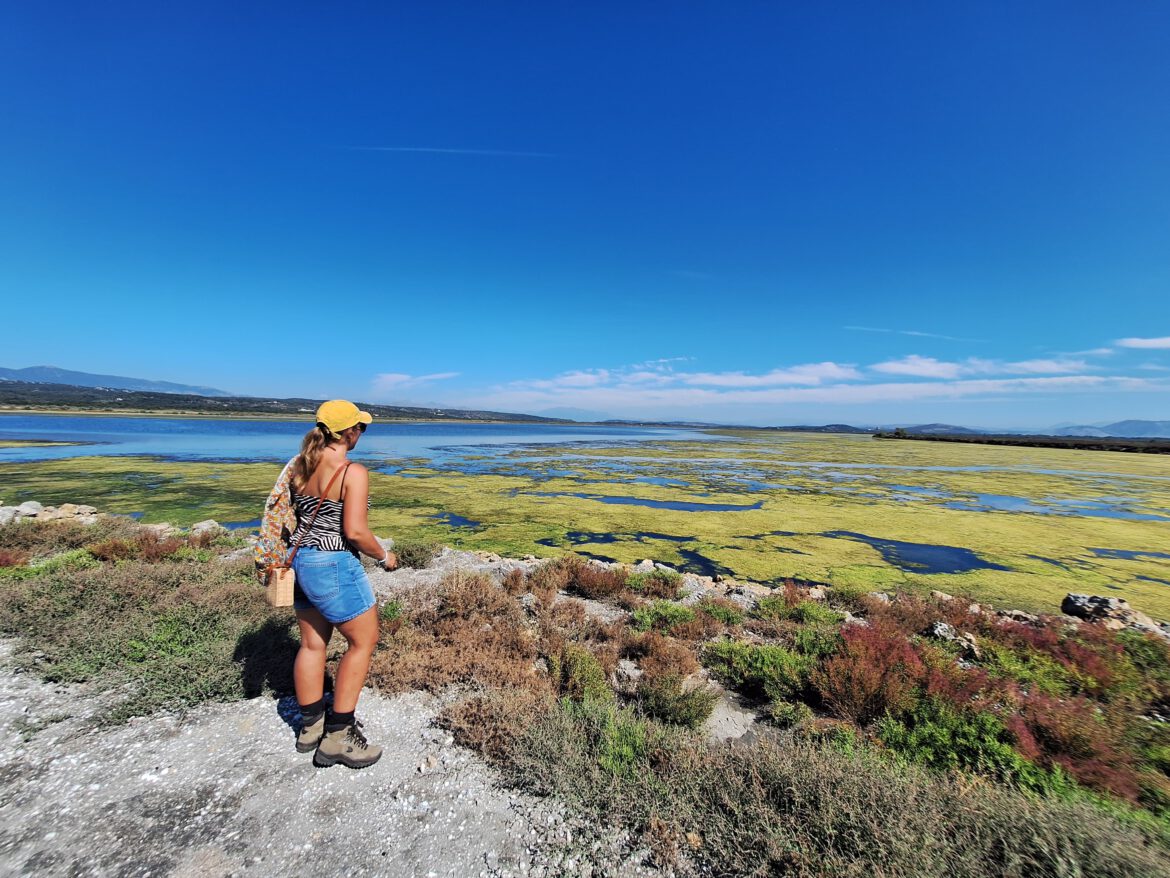 Flamingo’s kijken bij Natuurpark Ulcinj Salina