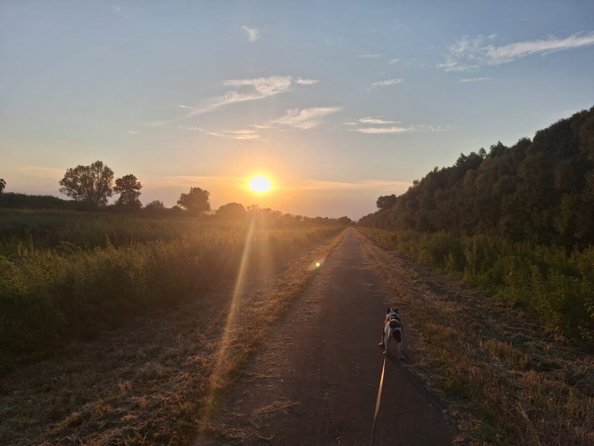 Het klimaat van Hongarije?