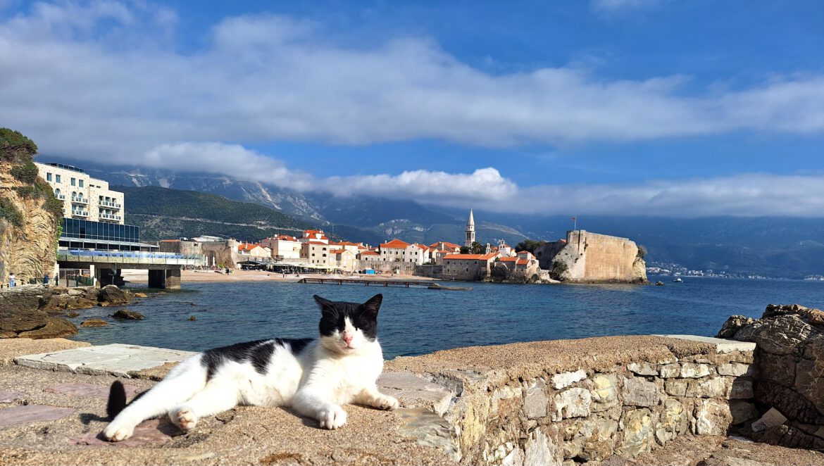 Verken de Bruisende stad Budva
